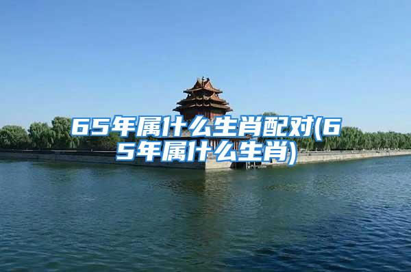 65年属什么生肖配对(65年属什么生肖)