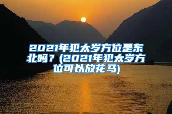 2021年犯太岁方位是东北吗?(2021年犯太岁方位可以放花马)