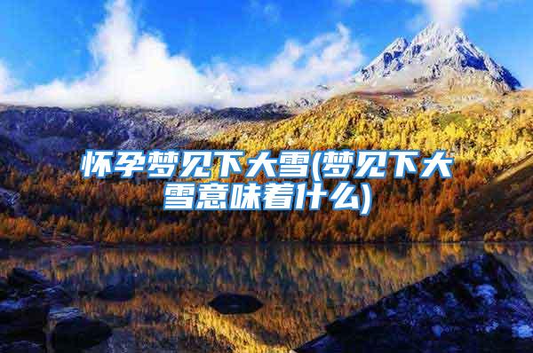 怀孕梦见下大雪(梦见下大雪意味着什么)