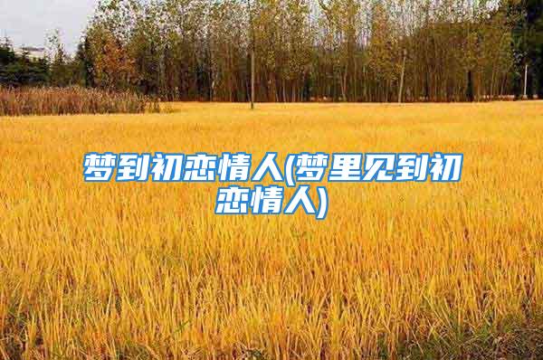 梦到初恋情人(梦里见到初恋情人)