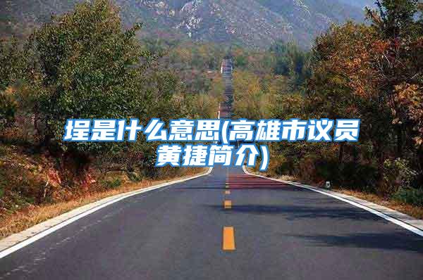 埕是什么意思(高雄市议员黄捷简介)