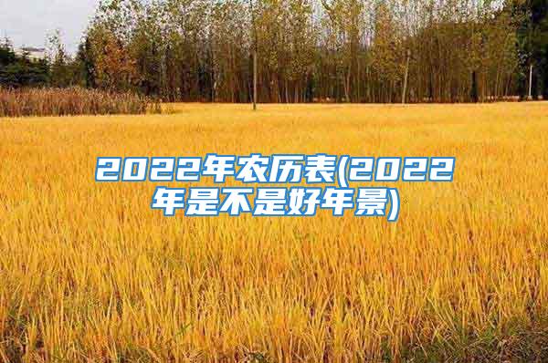 2022年农历表(2022年是不是好年景)