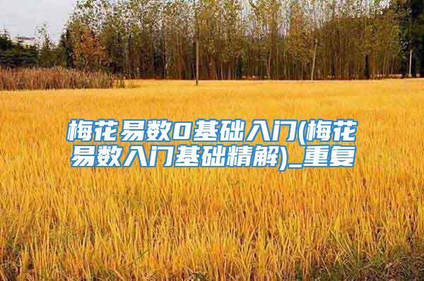 梅花易数0基础入门(梅花易数入门基础精解)_重复