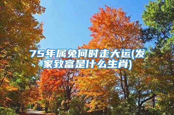 75年属兔何时走大运(发家致富是什么生肖)