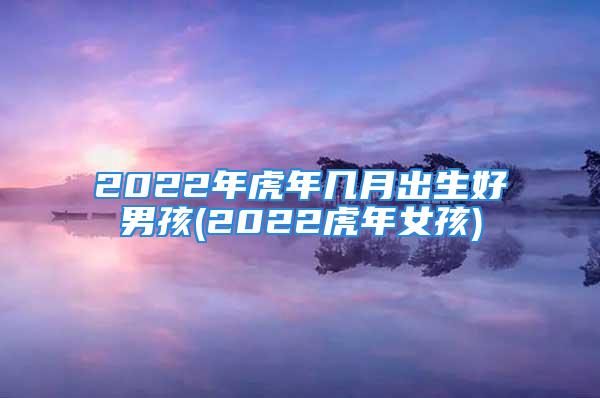 2022年虎年几月出生好男孩(2022虎年女孩)