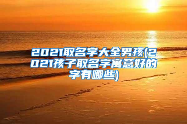 2021取名字大全男孩(2021孩子取名字寓意好的字有哪些)