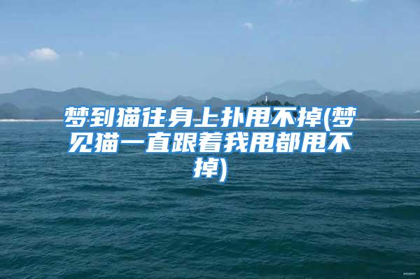 梦到猫往身上扑甩不掉(梦见猫一直跟着我甩都甩不掉)