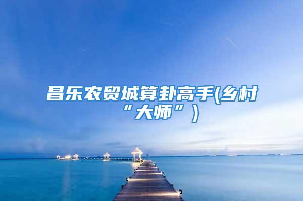 昌乐农贸城算卦高手(乡村“大师”)