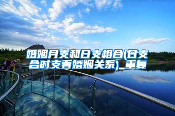 婚姻月支和日支相合(日支合时支看婚姻关系)_重复