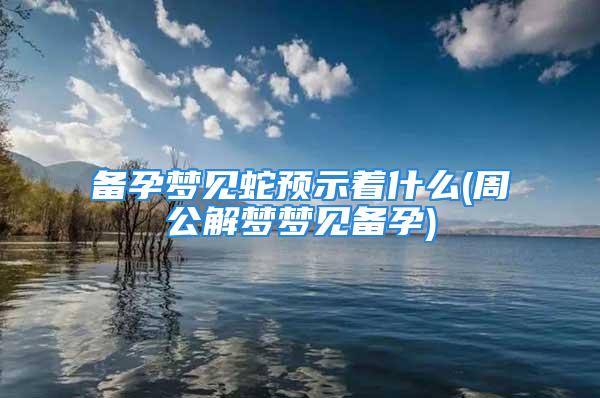 备孕梦见蛇预示着什么(周公解梦梦见备孕)