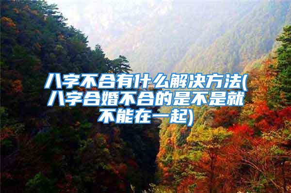 八字不合有什么解决方法(八字合婚不合的是不是就不能在一起)