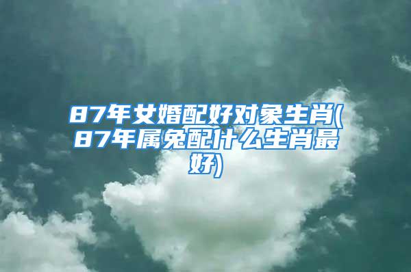 87年女婚配好对象生肖(87年属兔配什么生肖最好)