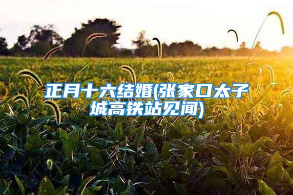 正月十六结婚(张家口太子城高铁站见闻)