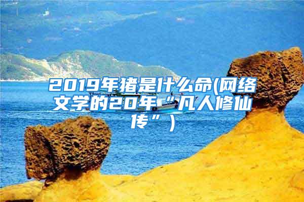 2019年猪是什么命(网络文学的20年“凡人修仙传”)