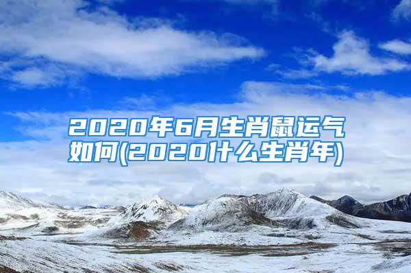 2020年6月生肖鼠运气如何(2020什么生肖年)