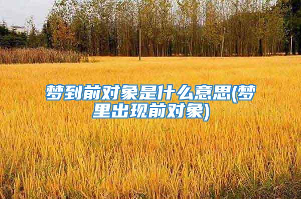 梦到前对象是什么意思(梦里出现前对象)