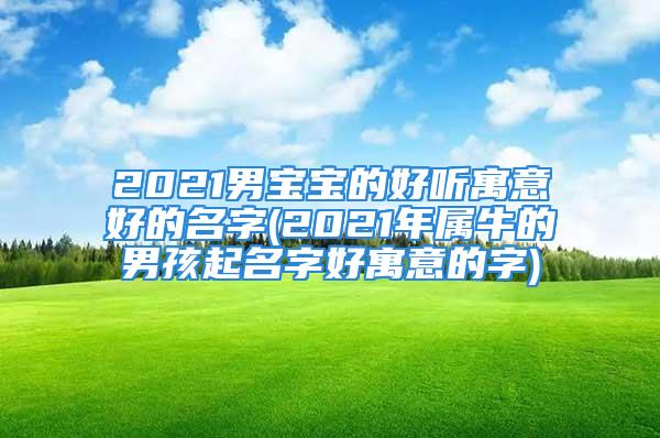 2021男宝宝的好听寓意好的名字(2021年属牛的男孩起名字好寓意的字)