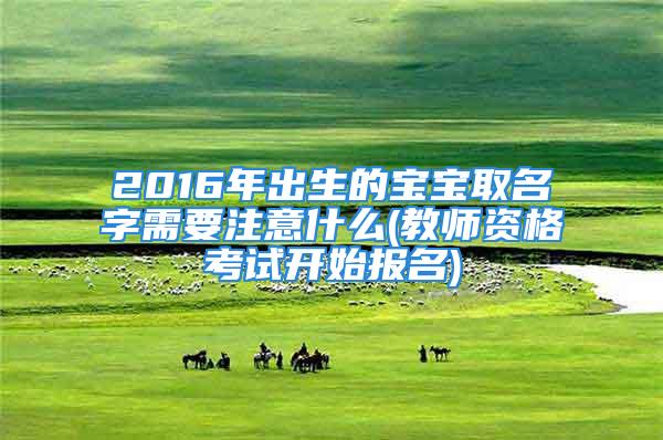 2016年出生的宝宝取名字需要注意什么(教师资格考试开始报名)