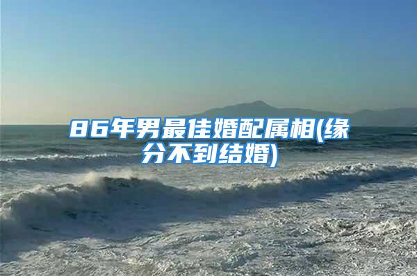 86年男最佳婚配属相(缘分不到结婚)