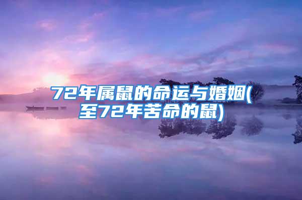 72年属鼠的命运与婚姻(至72年苦命的鼠)