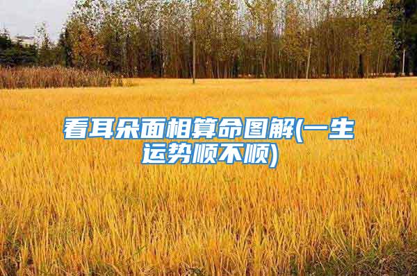 看耳朵面相算命图解(一生运势顺不顺)