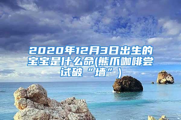 2020年12月3日出生的宝宝是什么命(熊爪咖啡尝试破“墙”)