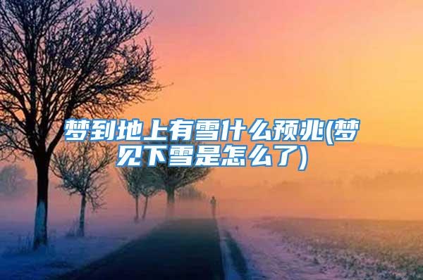 梦到地上有雪什么预兆(梦见下雪是怎么了)