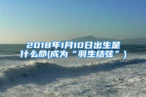 2018年1月10日出生是什么命(成为“羽生结弦”)