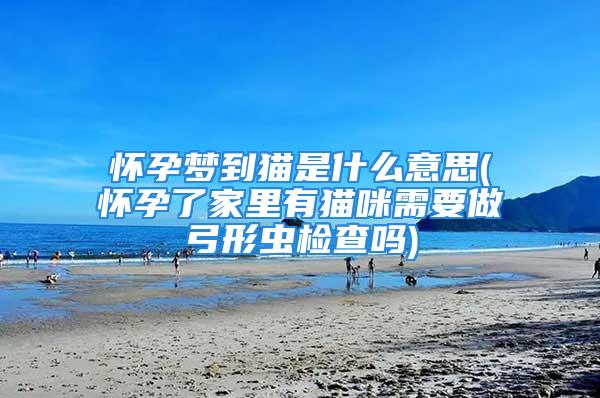 怀孕梦到猫是什么意思(怀孕了家里有猫咪需要做弓形虫检查吗)