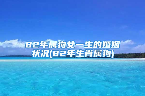 82年属狗女一生的婚姻状况(82年生肖属狗)