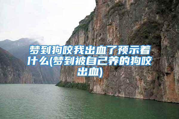 梦到狗咬我出血了预示着什么(梦到被自己养的狗咬出血)