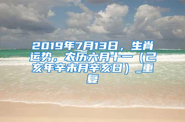 2019年7月13日，生肖运势，农历六月十一（己亥年辛未月辛亥日）_重复