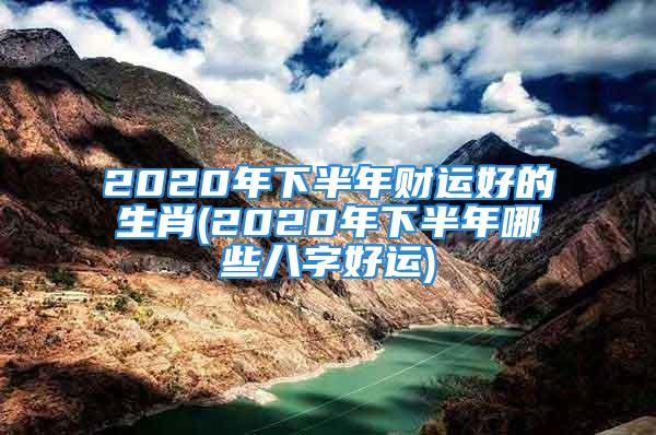 2020年下半年财运好的生肖(2020年下半年哪些八字好运)