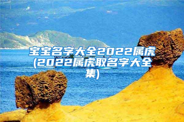 宝宝名字大全2022属虎(2022属虎取名字大全集)