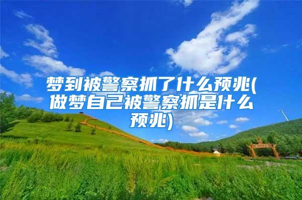 梦到被警察抓了什么预兆(做梦自己被警察抓是什么预兆)