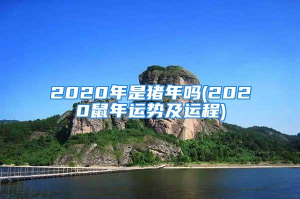 2020年是猪年吗(2020鼠年运势及运程)