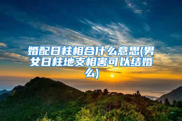 婚配日柱相合什么意思(男女日柱地支相害可以结婚么)