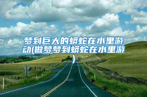 梦到巨大的蟒蛇在水里游动(做梦梦到蟒蛇在水里游)