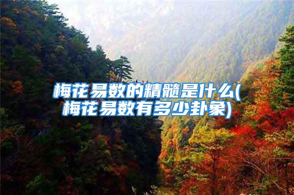 梅花易数的精髓是什么(梅花易数有多少卦象)