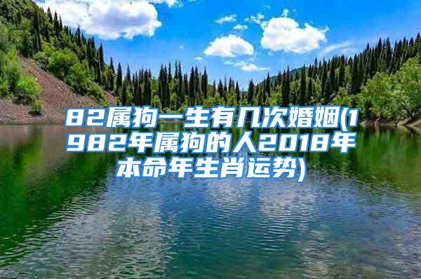 82属狗一生有几次婚姻(1982年属狗的人2018年本命年生肖运势)