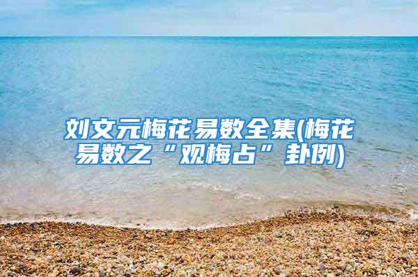 刘文元梅花易数全集(梅花易数之“观梅占”卦例)