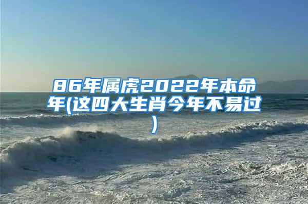 86年属虎2022年本命年(这四大生肖今年不易过)