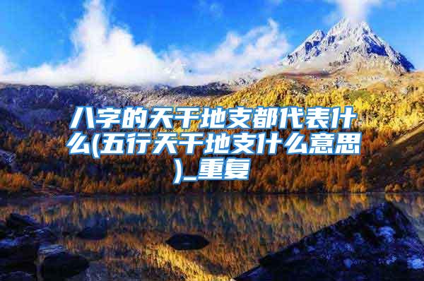 八字的天干地支都代表什么(五行天干地支什么意思)_重复