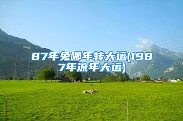 87年兔哪年转大运(1987年流年大运)