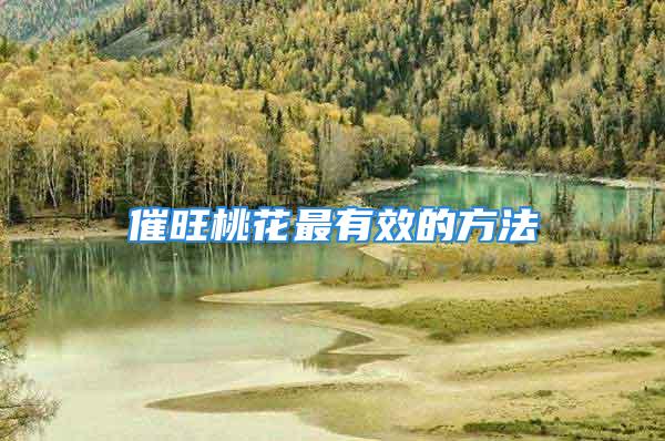 催旺桃花最有效的方法