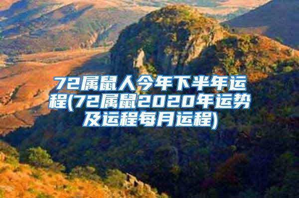 72属鼠人今年下半年运程(72属鼠2020年运势及运程每月运程)
