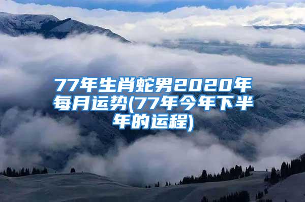 77年生肖蛇男2020年每月运势(77年今年下半年的运程)