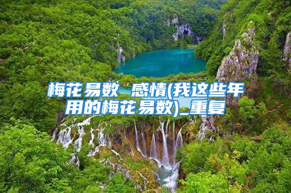 梅花易数 感情(我这些年用的梅花易数)_重复