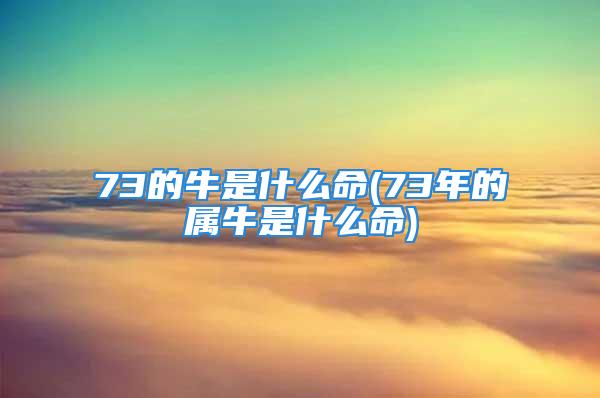 73的牛是什么命(73年的属牛是什么命)