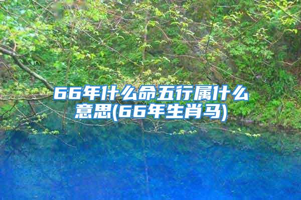 66年什么命五行属什么意思(66年生肖马)